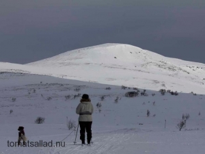 Tänndalen påsk 2013 vitt fjäll med vit skidåkare
