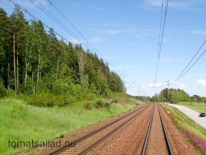 Sverige sommar 2016 rals-58