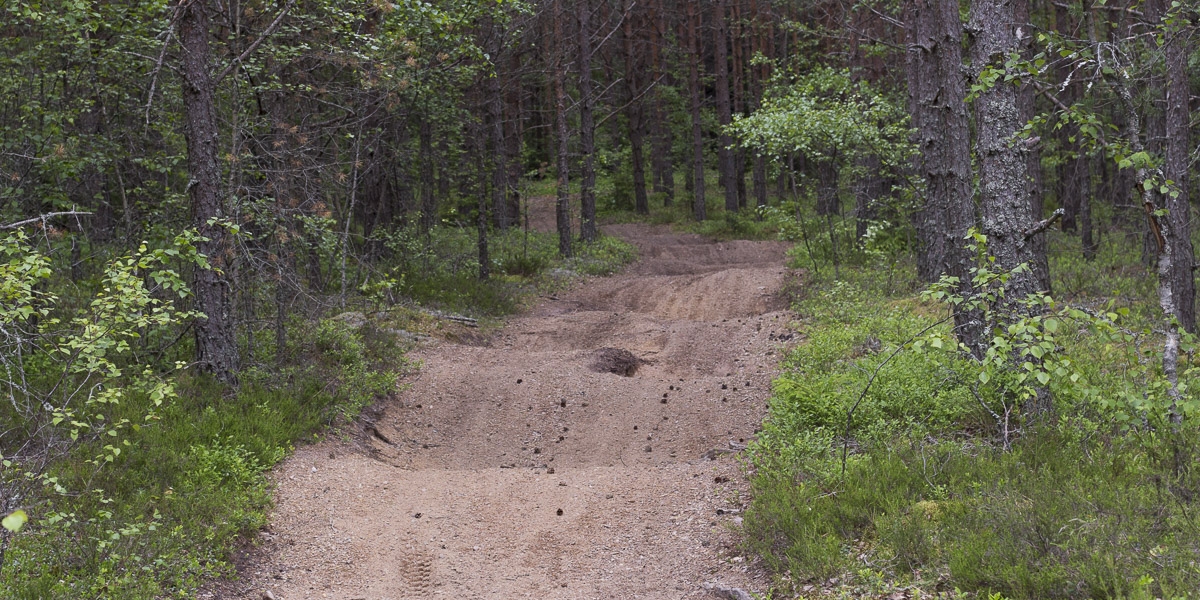 roslagsleden-t-ip-till-angarn-6955 roslagsleden-t-ip-till-angarn-6955
