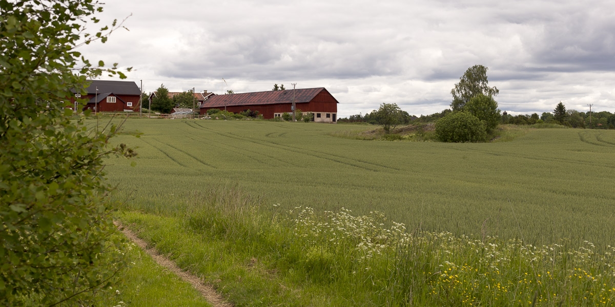 roslagsleden-t-ip-till-angarn-6974 roslagsleden-t-ip-till-angarn-6974