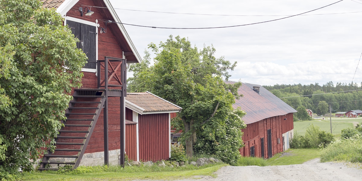 roslagsleden-t-ip-till-angarn-6991 roslagsleden-t-ip-till-angarn-6991