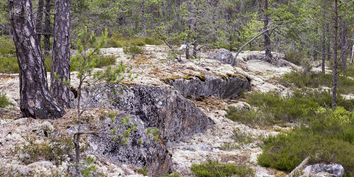 roslagsleden-t-ip-till-angarn-6965 roslagsleden-t-ip-till-angarn-6965