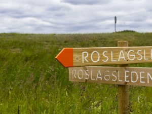 Sverige sommar 2017 roslagsleden-etapp-3-del-ett-7036