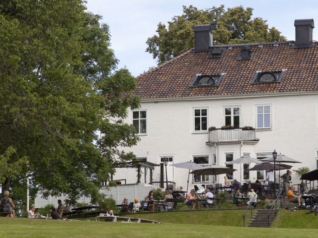 Sverige sommar 2017 mellan-gbg-och-sthlm-hovsnas-8959