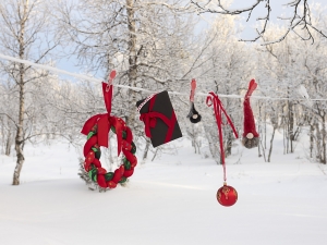 vinter 2018 god-jul-0846