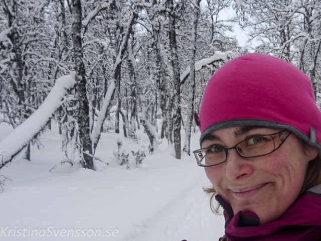 vinter 2018 tanndalen-53