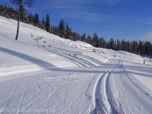 vinter 2018 tanndalen-25