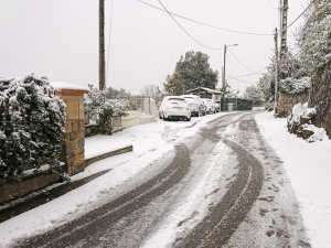vinter 2018 mandelieu-0129