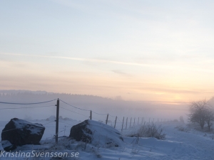 vinter 2018 hagby-ekhagar-januari-1478