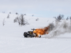 vinter 2018 andersborg-2895