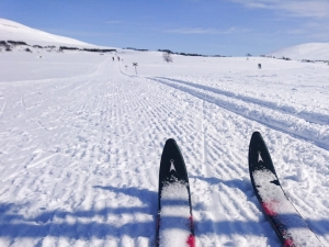 vinter 2018 fjallnastanndalen-18-2