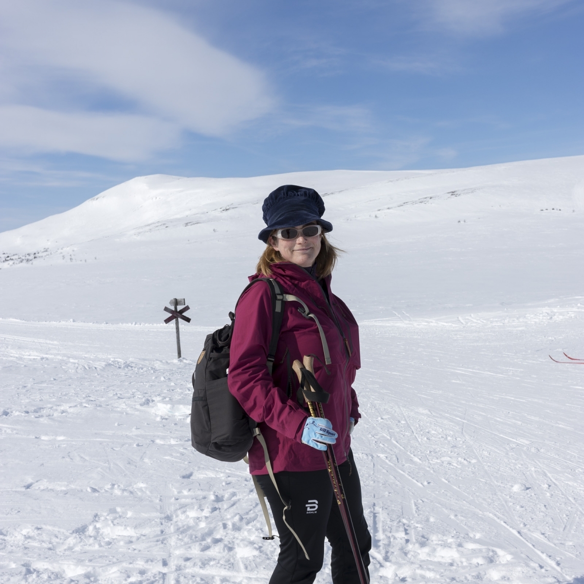 fjallnastanndalen-3071 fjallnastanndalen-3071