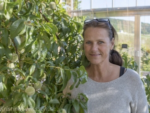 Sverige vårsommar 2018 mellan-gbg-och-sthlm-4750