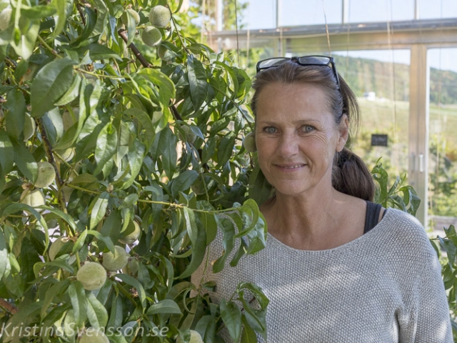 Sverige vårsommar 2018 mellan-gbg-och-sthlm-4750