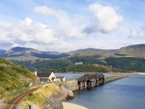 Wales 2018 mawddach-trail-03