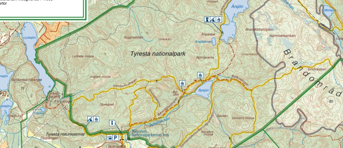 Tyresta nationalpark erbjuder bad och urskog – Tomatsallad