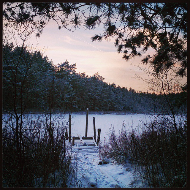 Projekt #dagligpromenad har verkligen fått fart den här julen. Idag #Käringsjön. Mer göl än sjö kanske men fint ändå. #Täby #sjöslingan #sjö #lake #Sweden #trasigbrygga #tall