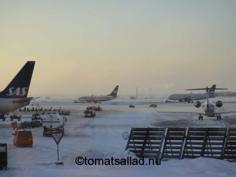 Kastrup kall morgon