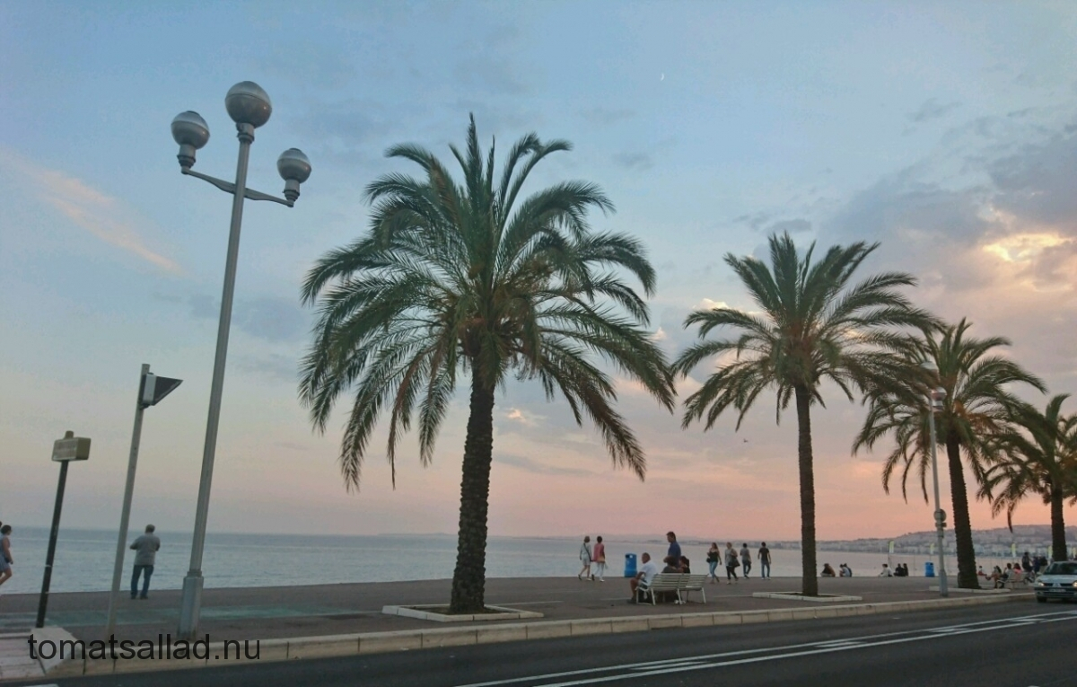 promenade-des-anglaise