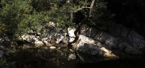 Vackra kalkklippor längs La Brague