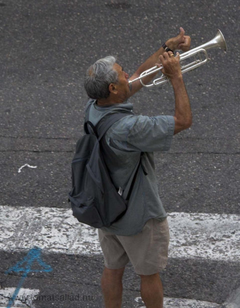 trumpetmannen-2331