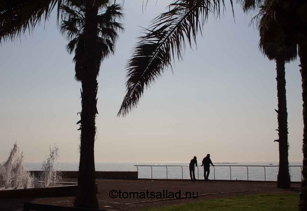 Place Albert 1er i Antibes