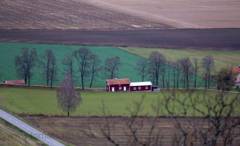 Åkrar vid Vättern