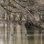 Åkers kanal