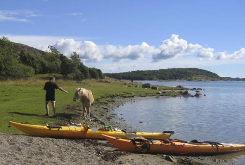 Kajakpaddling i Bohuslän