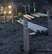 skog av pålar