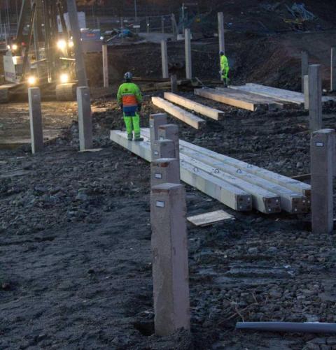 skog av pålar