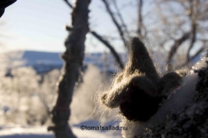 Tanndalen januari 2010 Grå tomte tittar ut över fjällen