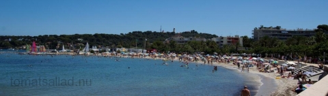 strand-6 strand-6