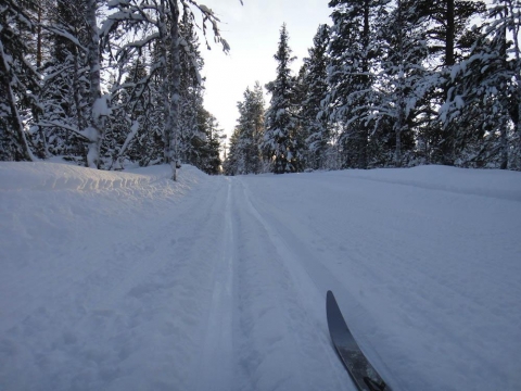 skidspår skidspår