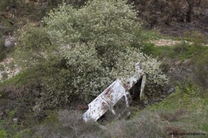 col de vence Bilvrak med blommande träd