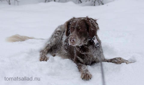Snö är fint Snö är fint
