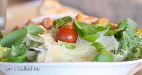 vapiano-0786 vapiano-0786