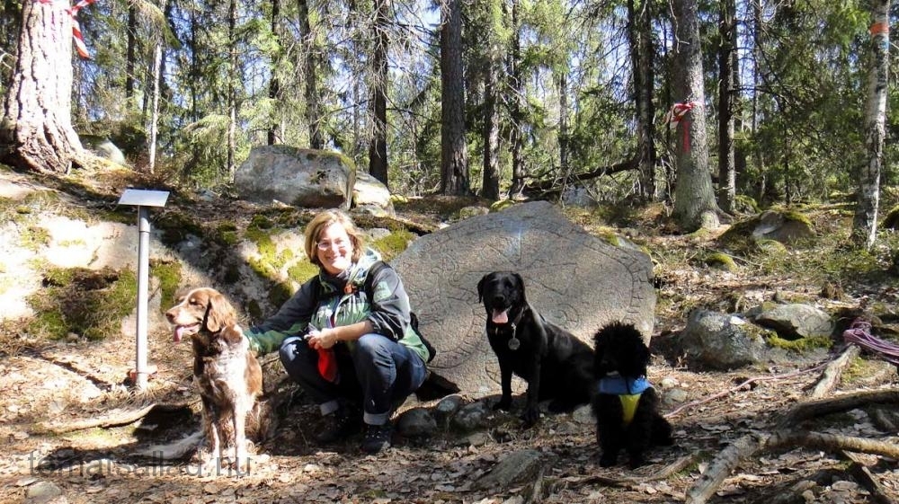 samling vid runstenen samling vid runstenen