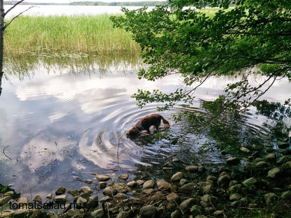 Vallentunasjön Vallentunasjön