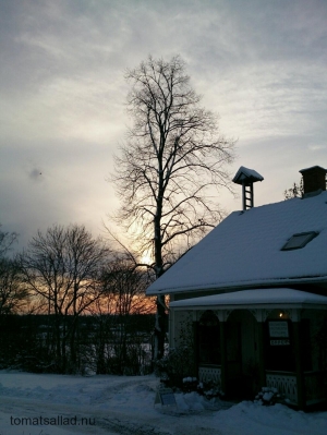 Sverige VT 2015 vacker vinterdag