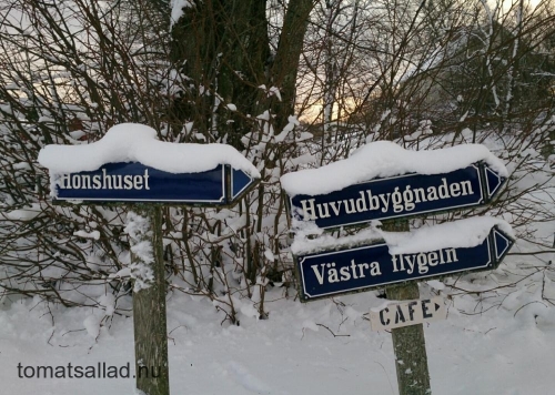 Det finns cafe och utställningslokaler Det finns cafe och utställningslokaler