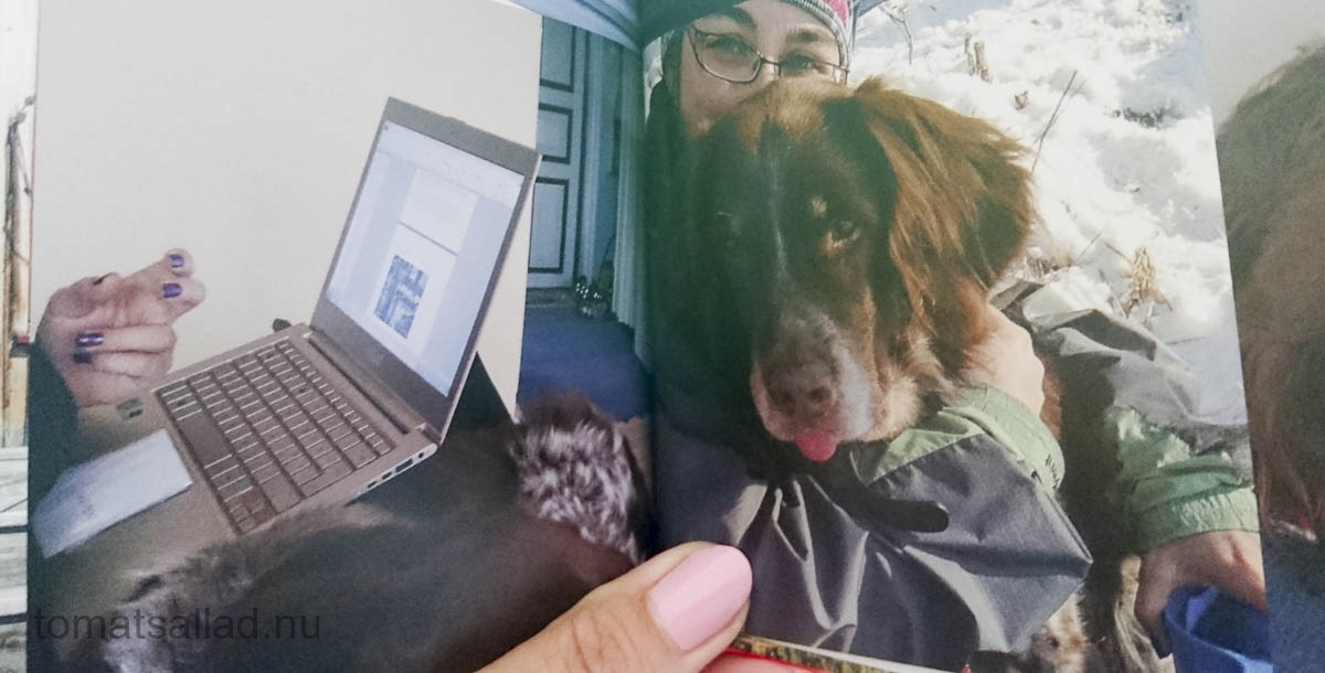boken-om-hunden-48 boken-om-hunden-48