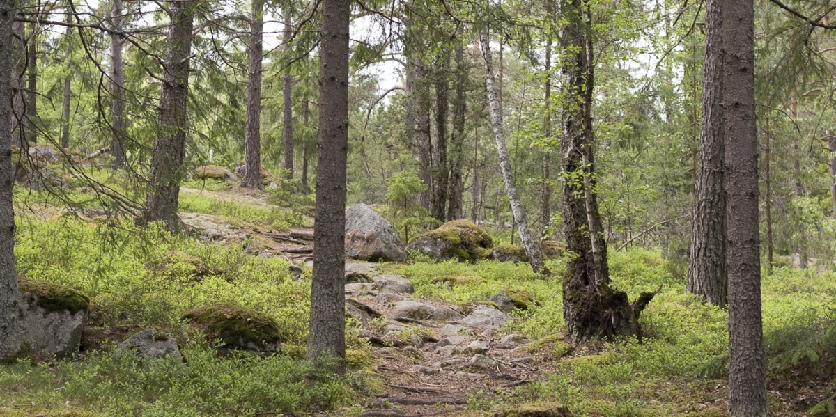 roslagsleden-9836-2 roslagsleden-9836-2