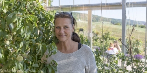 Sverige vårsommar 2018 mellan-gbg-och-sthlm-4750