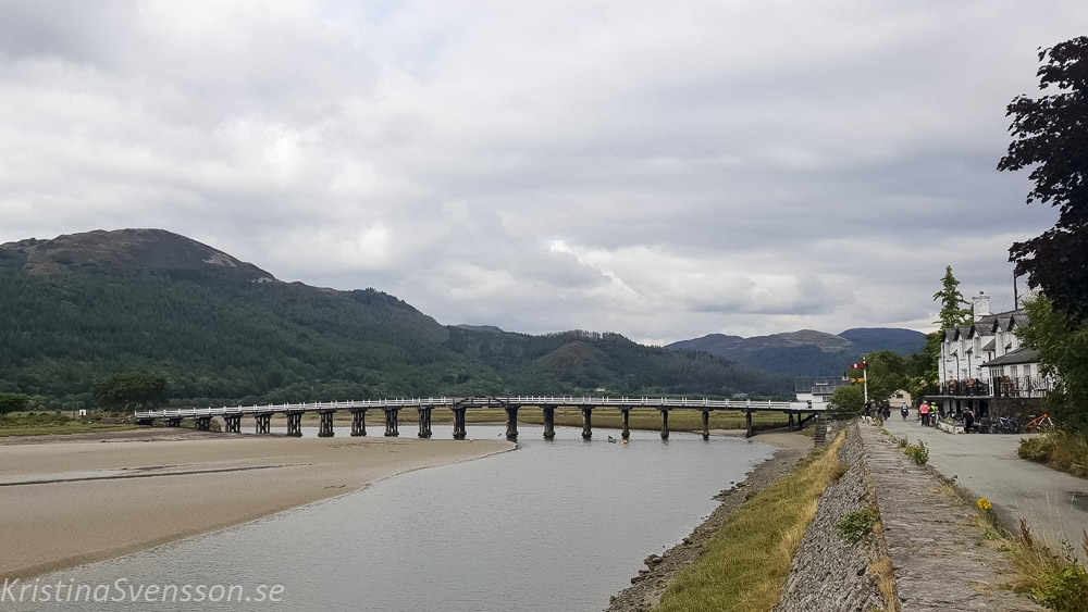 mawddach-trail-30 mawddach-trail-30