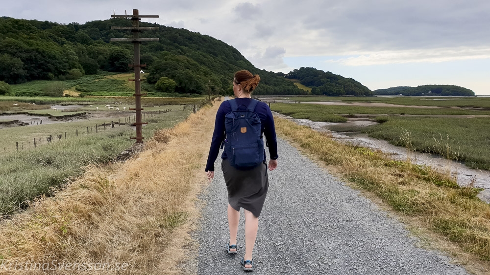 mawddach-trail-45-2 mawddach-trail-45-2