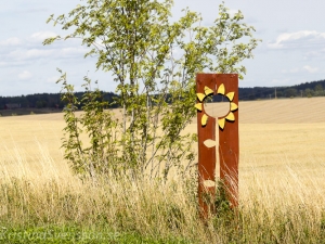 Sverige vårsommar 2018 vag223-0036