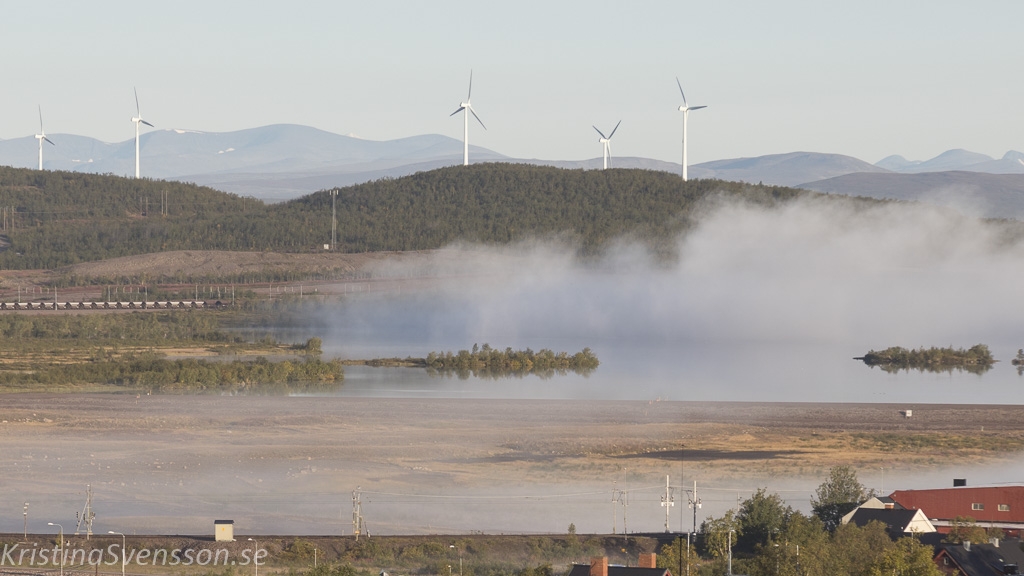 sipkiruna-9814 sipkiruna-9814