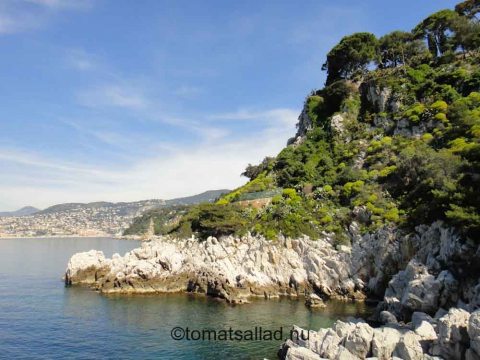 Västra sidan av Cap Ferrat