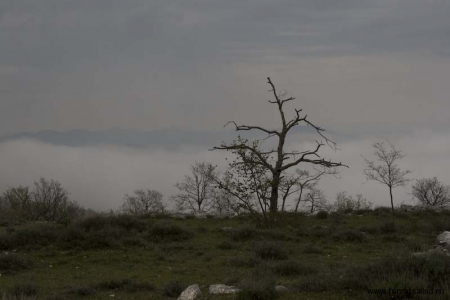 Col de Vence